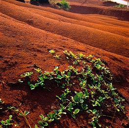 不算大冤种 日本玩家展示斥资5万二手Switch游戏福袋